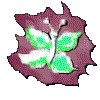 3BTN066.GIF