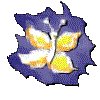 3BTN063.GIF