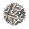 3BTN034.GIF