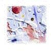 3BTN028.GIF
