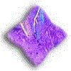 3BTN010.GIF