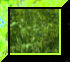 2BTN343.JPG
