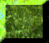 2BTN303.JPG