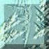 2BTN272.JPG