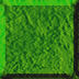 2BTN137.JPG
