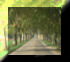 2BTN111.JPG