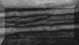 1BTN439.JPG