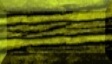 1BTN435.JPG