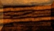 1BTN434.JPG