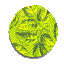 1BTN417.GIF