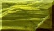 1BTN408.JPG