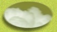 1BTN372.JPG