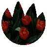 1BTN225.GIF