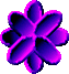 1BTN106.GIF
