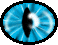 1BTN080.GIF
