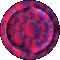 1BTN051.GIF