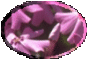 1BTN033.GIF