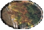 1BTN010.GIF