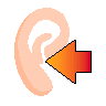 ICON115.GIF