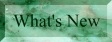 TEXT322.JPG