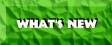 TEXT304.JPG