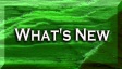 TEXT295.JPG