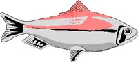 FISH.WMF