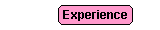 EXPERI1.GIF