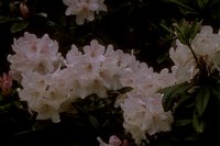 8025.GIF