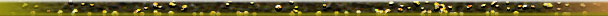 WYELLOW.JPG