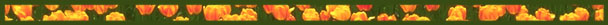 TULFLAT.JPG