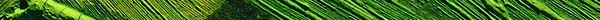 TEXTR6.JPG