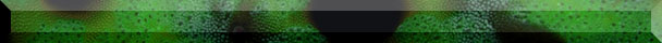 SGGREEN.JPG