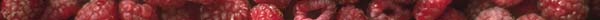 RASPBERY.JPG