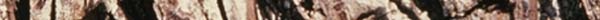 OAKBARK.JPG