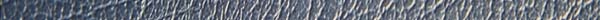 BLULETHR.JPG