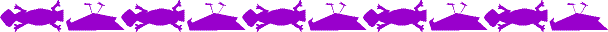 09PURPLE.GIF
