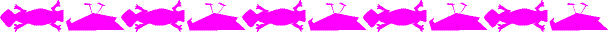 09MAGENT.GIF