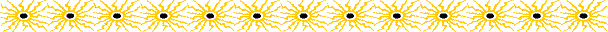 05YELLOW.GIF