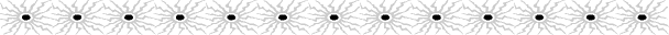 05GREY.GIF
