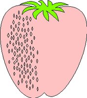 FRUIT9.WMF