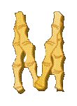 LETTERM1.GIF
