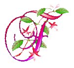 LETTERF2.GIF