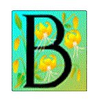 LETTERB3.GIF