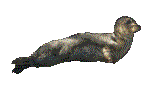 SEAL.GIF