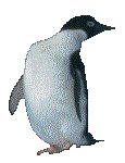 PENGUIN2.GIF