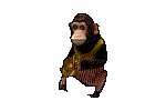 CHIMP.GIF