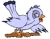 SPARROW6.GIF