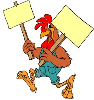 ROOSTER3.GIF