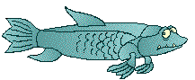 PREFISH2.GIF